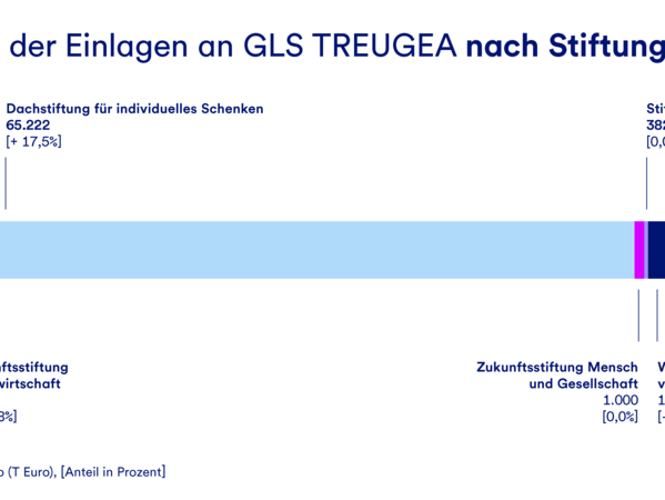 gls-bank-nachhaltigkeitsbericht-2022-treugea-einlagen-stiftung Eine Grafik, die die Verteilung der Einlagen an GLS Treugea nach Stiftung darstellt.