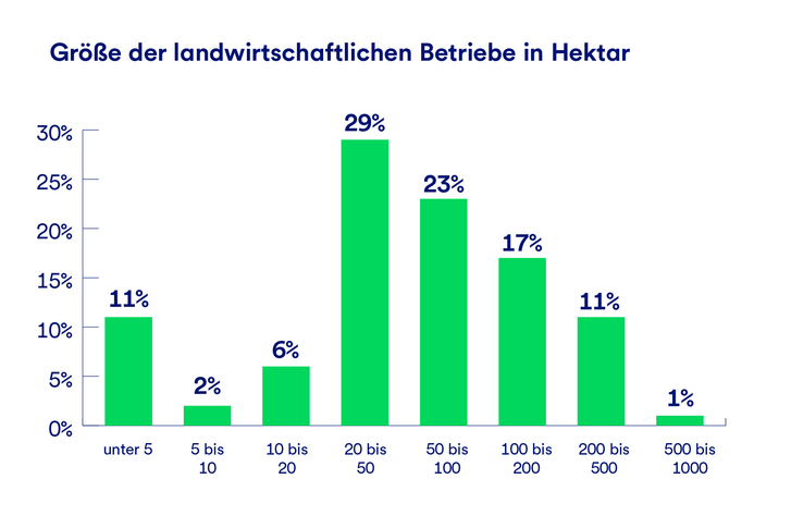 Eine Grafik, die die Größe landwirtschaftlicher Betriebe in Hektar angibt. 